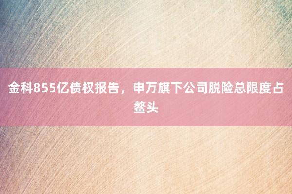 金科855亿债权报告，申万旗下公司脱险总限度占鳌头