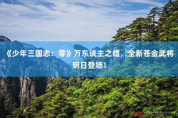 《少年三国志：零》万东谈主之雄，全新苍金武将明日登场！