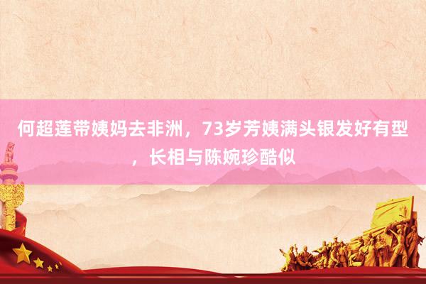 何超莲带姨妈去非洲，73岁芳姨满头银发好有型，长相与陈婉珍酷似