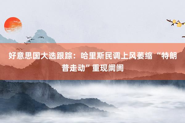 好意思国大选跟踪：哈里斯民调上风萎缩 “特朗普走动”重现阛阓