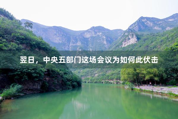 翌日，中央五部门这场会议为如何此伏击