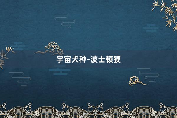 宇宙犬种-波士顿㹴