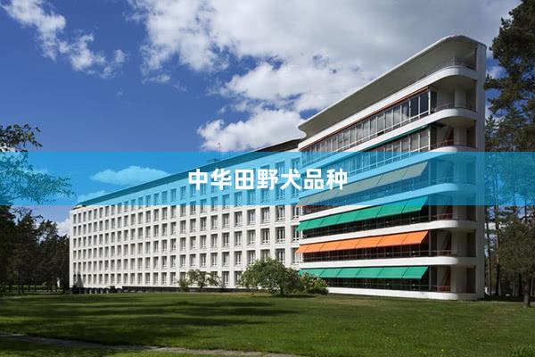 中华田野犬品种