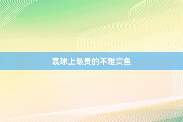 寰球上最贵的不雅赏鱼