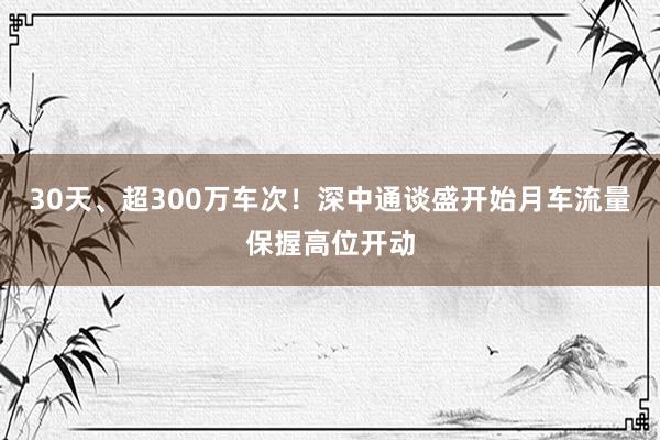 30天、超300万车次！深中通谈盛开始月车流量保握高位开动
