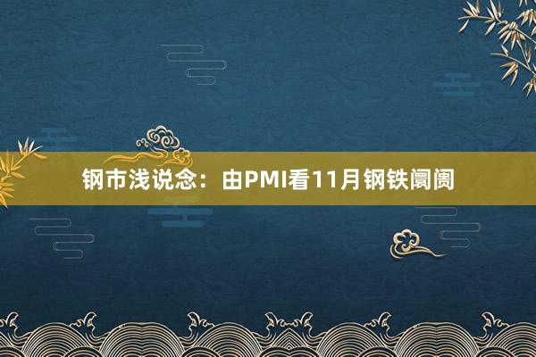 钢市浅说念：由PMI看11月钢铁阛阓