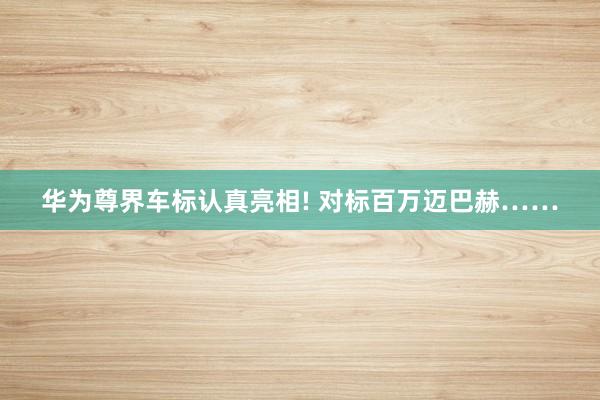 华为尊界车标认真亮相! 对标百万迈巴赫……