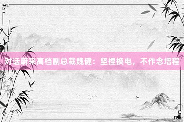 对话蔚来高档副总裁魏健：坚捏换电，不作念增程