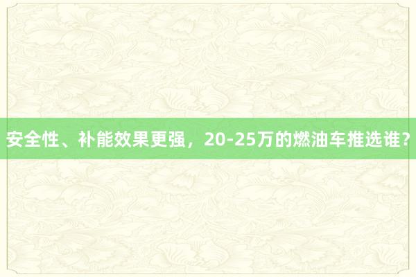 安全性、补能效果更强，20-25万的燃油车推选谁？