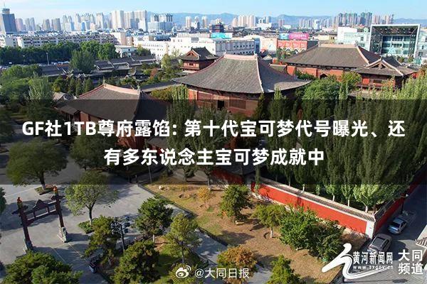 GF社1TB尊府露馅: 第十代宝可梦代号曝光、还有多东说念主宝可梦成就中