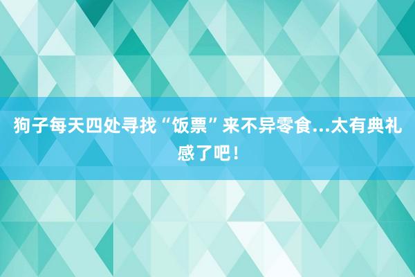 狗子每天四处寻找“饭票”来不异零食...太有典礼感了吧！