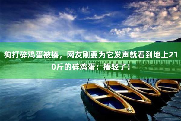 狗打碎鸡蛋被揍，网友刚要为它发声就看到地上210斤的碎鸡蛋：揍轻了！