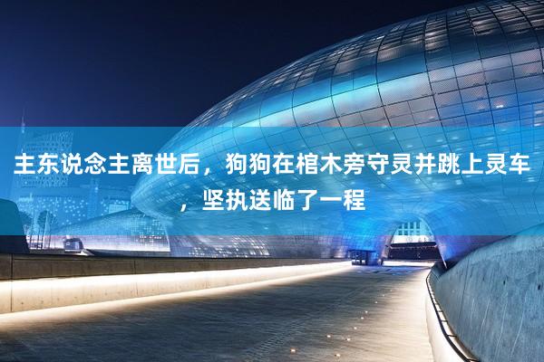 主东说念主离世后，狗狗在棺木旁守灵并跳上灵车，坚执送临了一程