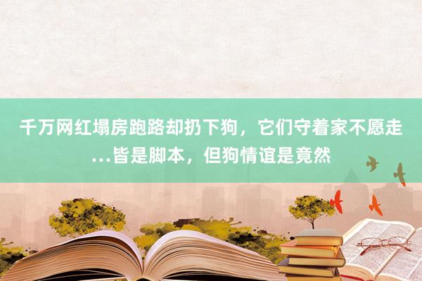 千万网红塌房跑路却扔下狗，它们守着家不愿走…皆是脚本，但狗情谊是竟然