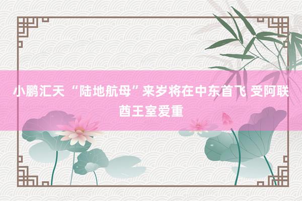 小鹏汇天 “陆地航母”来岁将在中东首飞 受阿联酋王室爱重